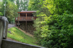 Holly Tree Hideaway - Semi Secluded Mtn Setting